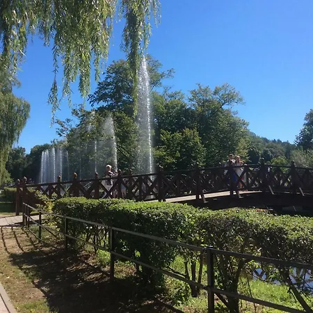 Bukowy
